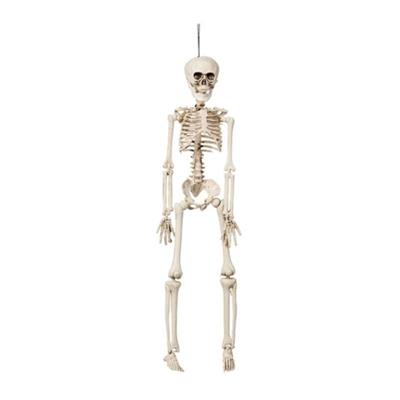Hængende skelet (42 cm)