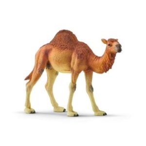schleich-dromedar